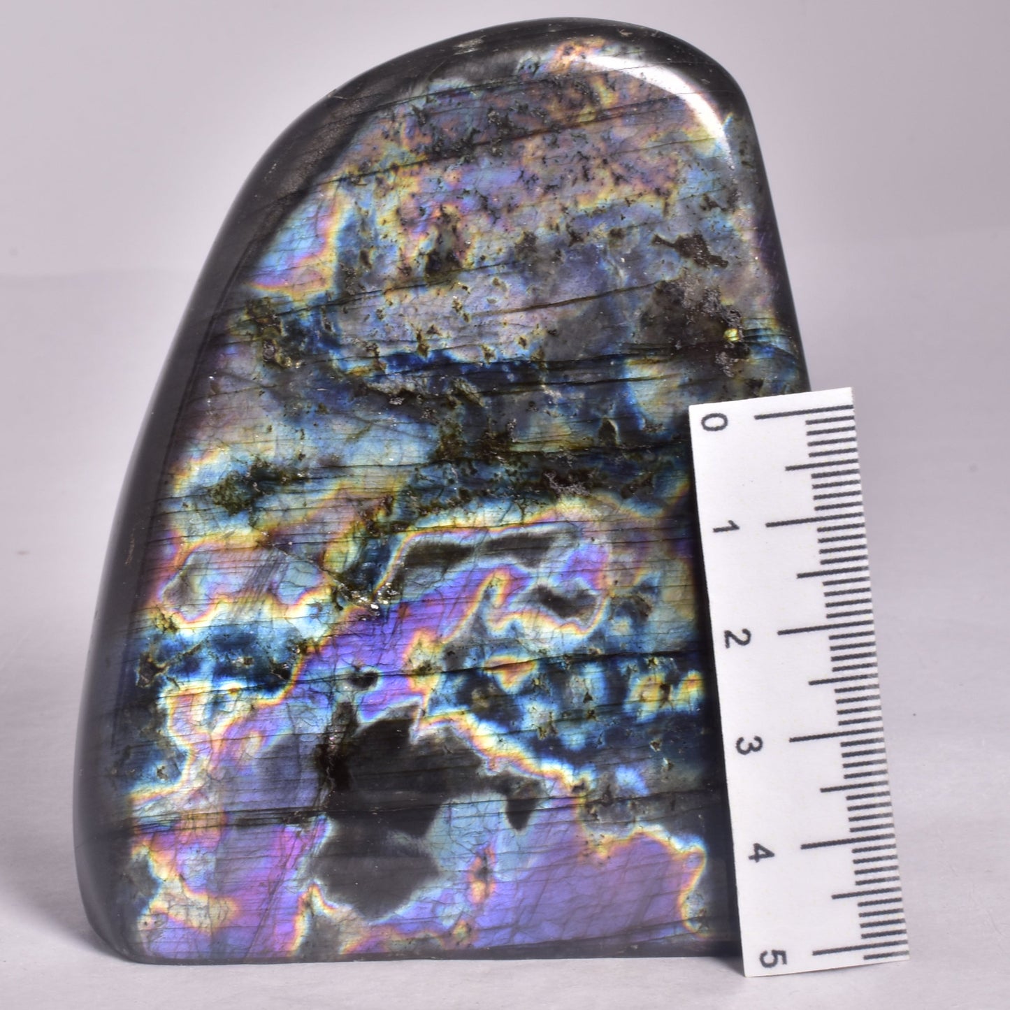 LABRADORITE POLISHED FREEFORM P483