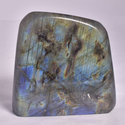 LABRADORITE POLISHED FREEFORM P2040