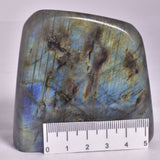 LABRADORITE POLISHED FREEFORM P2040