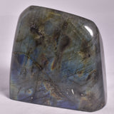 LABRADORITE POLISHED FREEFORM P2040