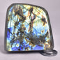 LABRADORITE POLISHED FREEFORM P2040
