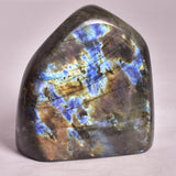 LABRADORITE POLISHED FREEFORM P2041