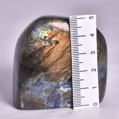 LABRADORITE POLISHED FREEFORM P2046
