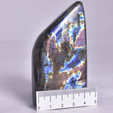 LABRADORITE POLISHED FREEFORM P2048