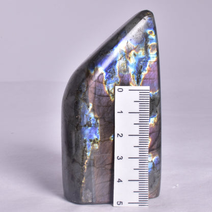 LABRADORITE POLISHED FREEFORM P2048