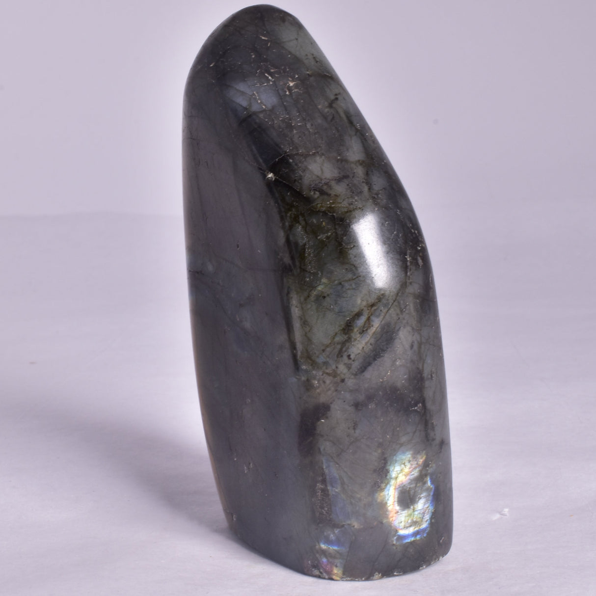 LABRADORITE POLISHED FREEFORM P2048