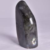 LABRADORITE POLISHED FREEFORM P2048