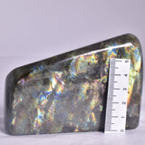 LABRADORITE POLISHED FREEFORM P2049