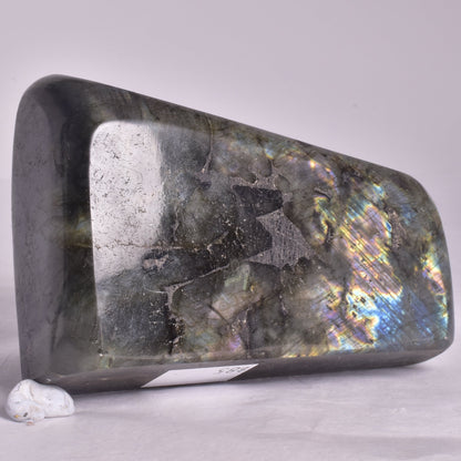 LABRADORITE POLISHED FREEFORM P2049
