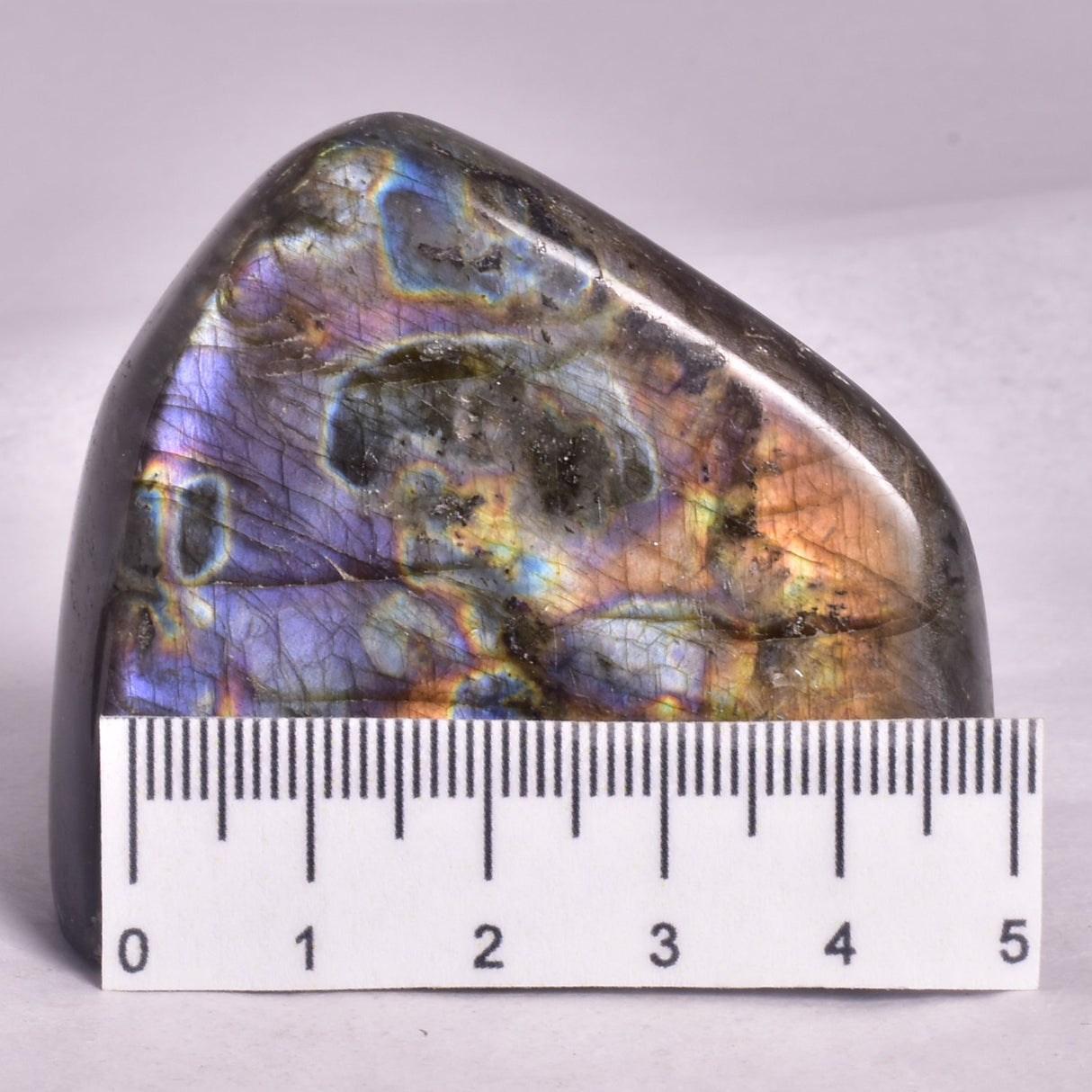 LABRADORITE POLISHED FREEFORM P2050
