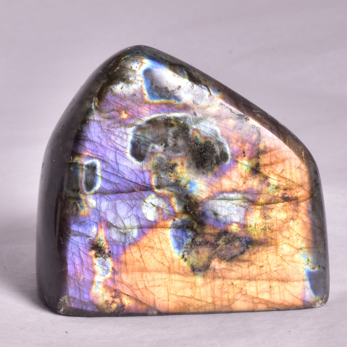 LABRADORITE POLISHED FREEFORM P2050