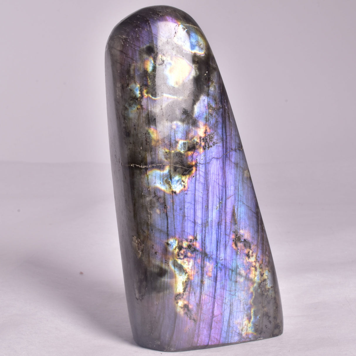 LABRADORITE POLISHED FREEFORM P2051