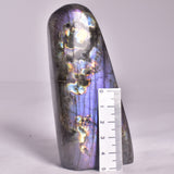 LABRADORITE POLISHED FREEFORM P2051