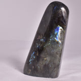 LABRADORITE POLISHED FREEFORM P2051