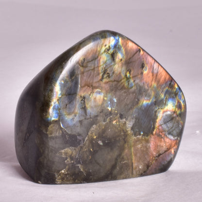 LABRADORITE POLISHED FREEFORM P2052