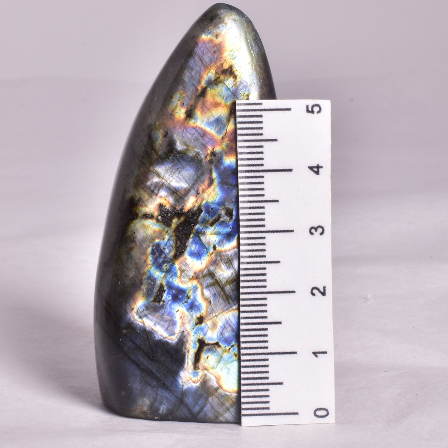 LABRADORITE POLISHED FREEFORM P2002