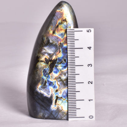 LABRADORITE POLISHED FREEFORM P2002