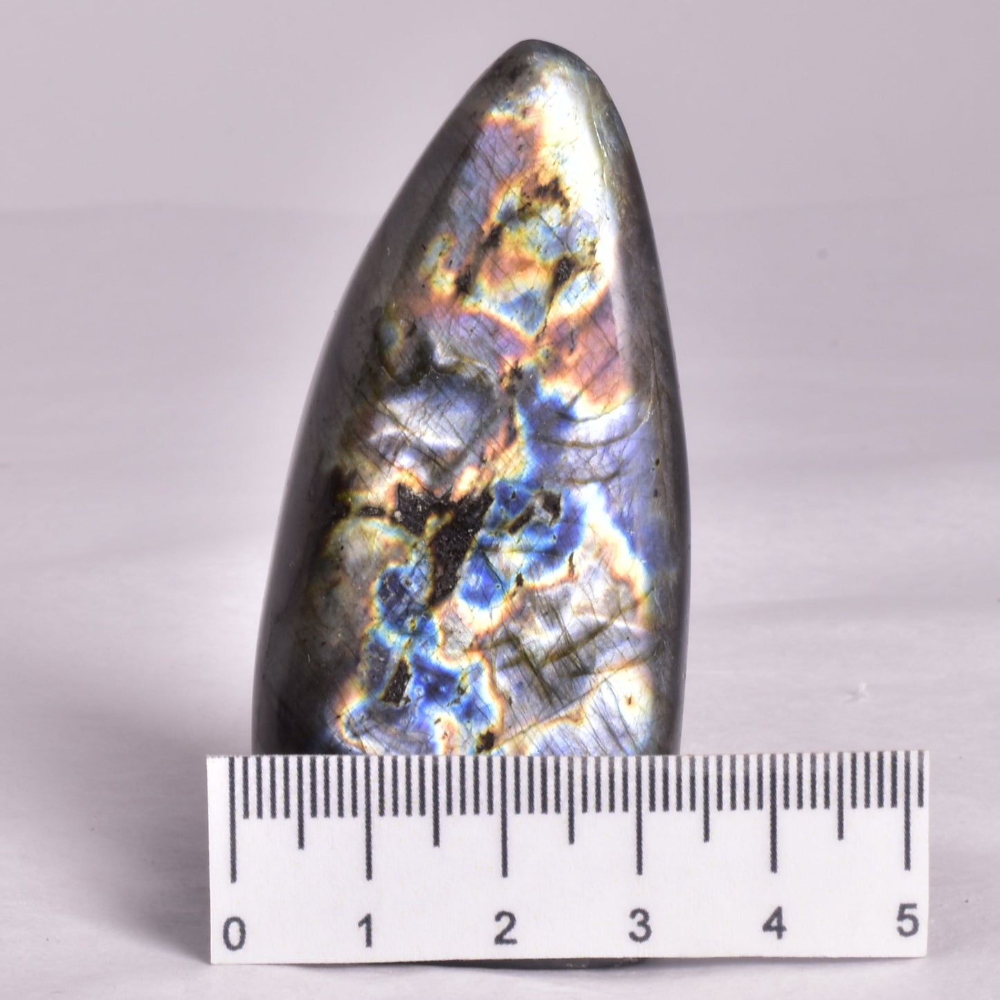 LABRADORITE POLISHED FREEFORM P2002