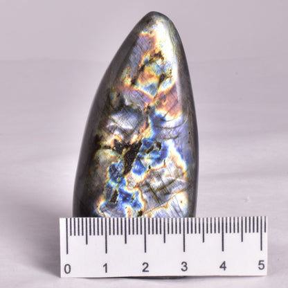 LABRADORITE POLISHED FREEFORM P2002