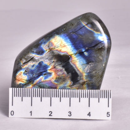 LABRADORITE POLISHED FREEFORM P2007