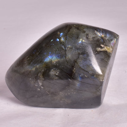 LABRADORITE POLISHED FREEFORM P2007
