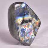 LABRADORITE POLISHED FREEFORM P217