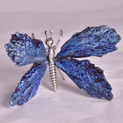 TITANIUM AURA KYANITE BUTTERFLY P935