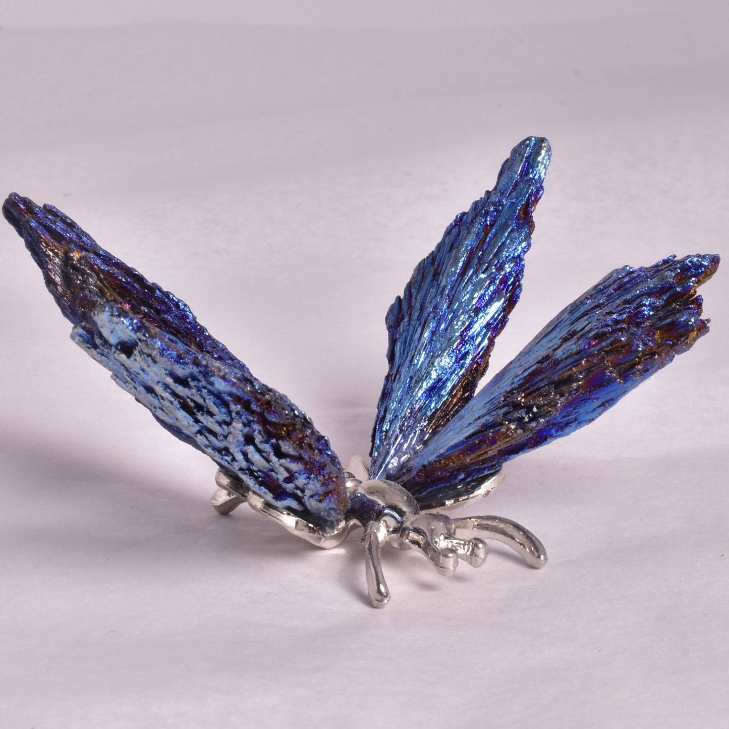 TITANIUM AURA KYANITE BUTTERFLY P935