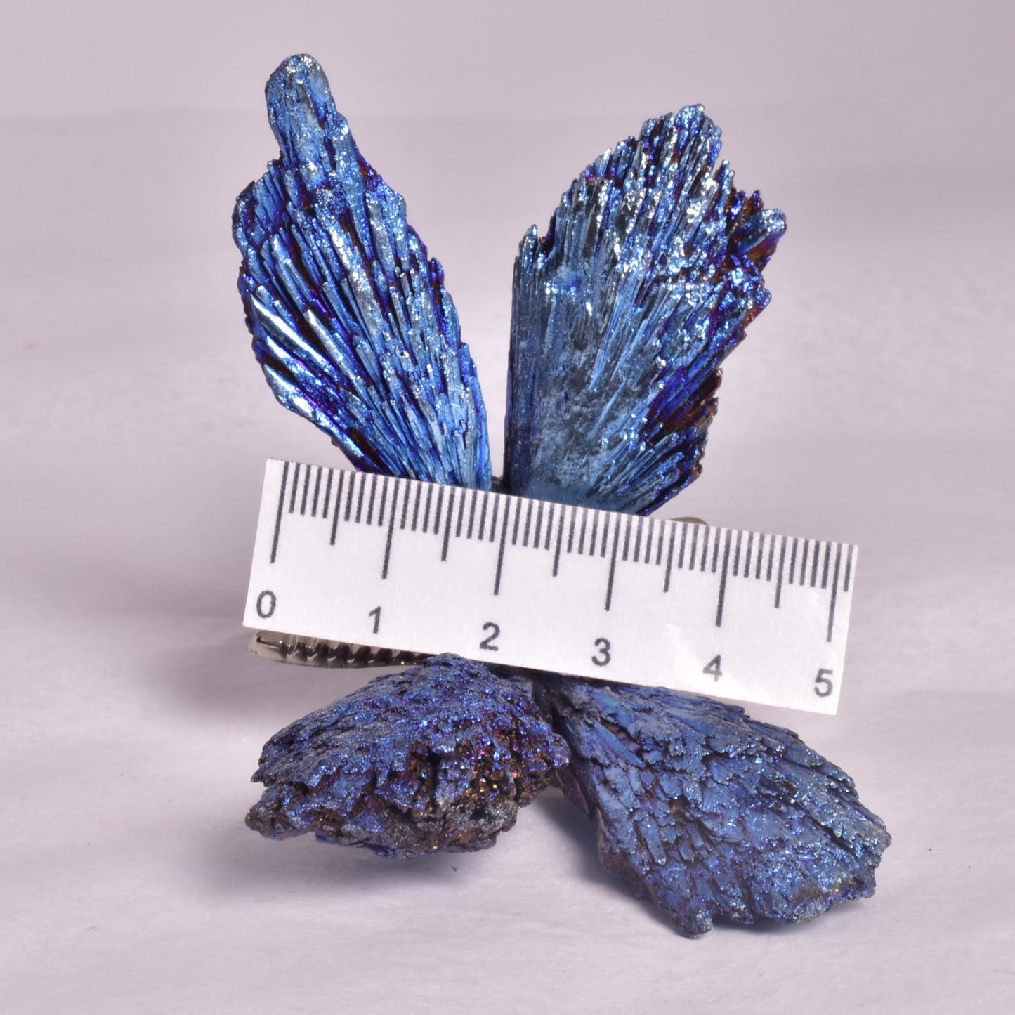 TITANIUM AURA KYANITE BUTTERFLY P935