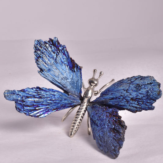 TITANIUM AURA KYANITE BUTTERFLY P935
