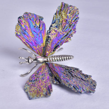 TITANIUM AURA KYANITE BUTTERFLY P923