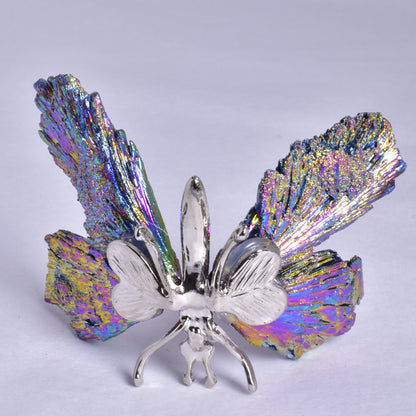 TITANIUM AURA KYANITE BUTTERFLY P923