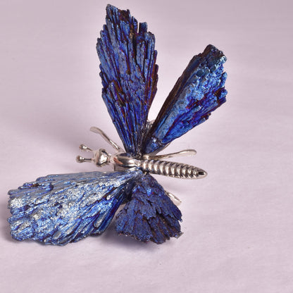 TITANIUM AURA KYANITE BUTTERFLY P924