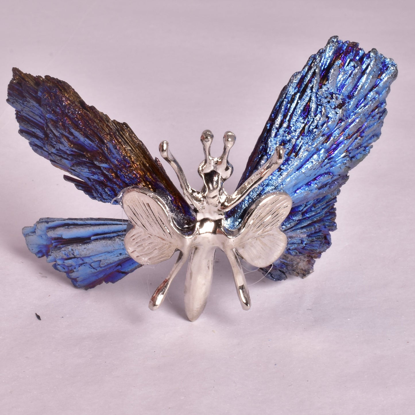 TITANIUM AURA KYANITE BUTTERFLY P924