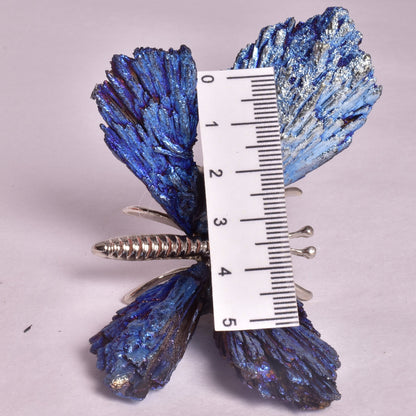 TITANIUM AURA KYANITE BUTTERFLY P924