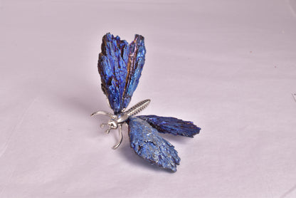 TITANIUM AURA KYANITE BUTTERFLY P924