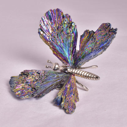 TITANIUM AURA KYANITE BUTTERFLY P926