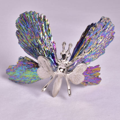 TITANIUM AURA KYANITE BUTTERFLY P926