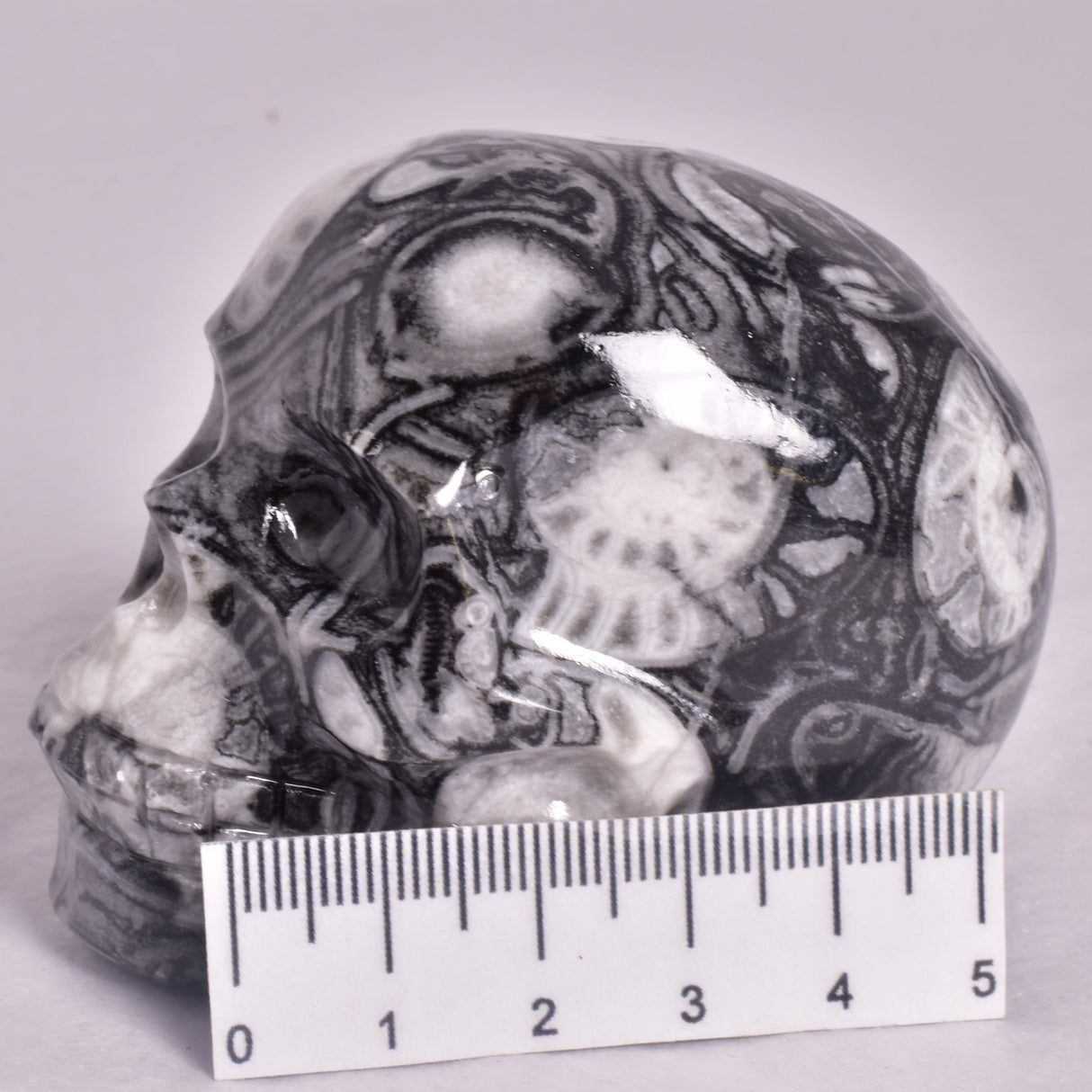 FOSSIL MARBLE CARVED SKULL P903