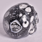 FOSSIL MARBLE CARVED SKULL P903