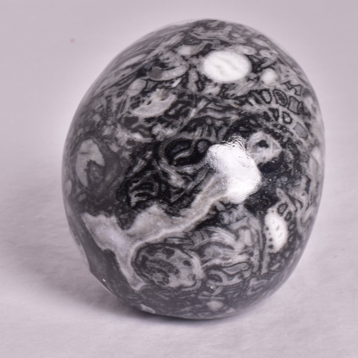 FOSSIL MARBLE CARVED SKULL P908
