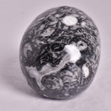 FOSSIL MARBLE CARVED SKULL P908
