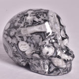 FOSSIL MARBLE CARVED SKULL P912