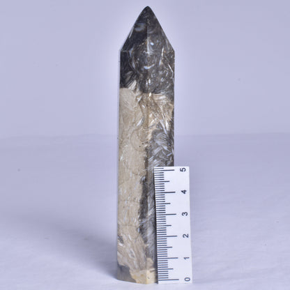 FEATHER AGATE CRYSTAL 6 SIDED POINT GENERATOR P1032