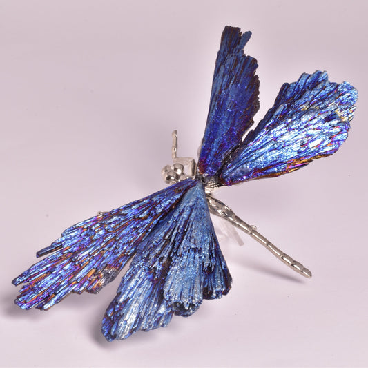 TITANIUM AURA KYANITE DRAGONFLY P1035