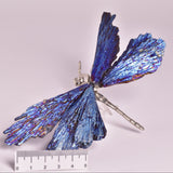 TITANIUM AURA KYANITE DRAGONFLY P550