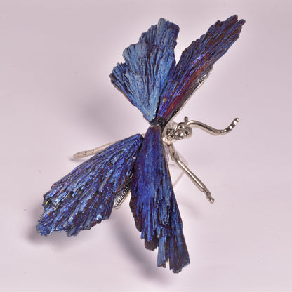 TITANIUM AURA KYANITE DRAGONFLY P1035