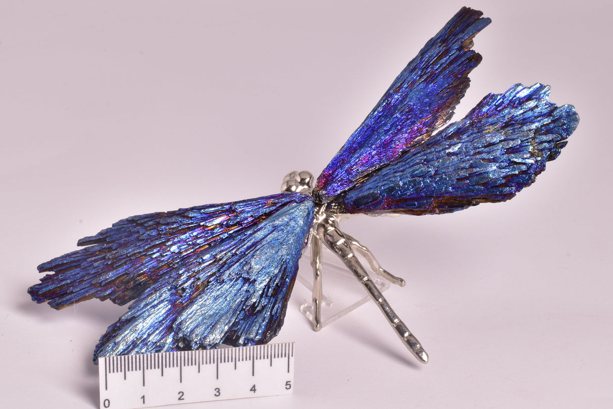 TITANIUM AURA KYANITE DRAGONFLY P550
