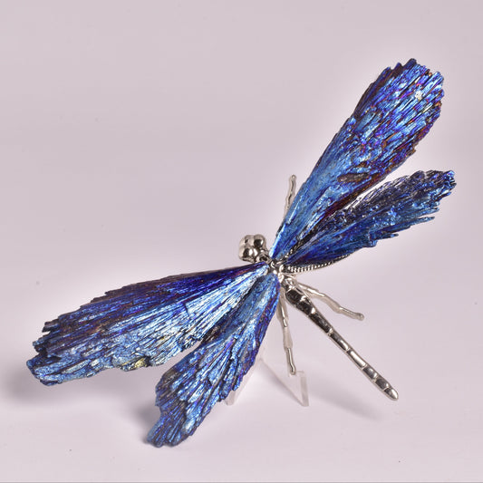 TITANIUM AURA KYANITE DRAGONFLY P1036