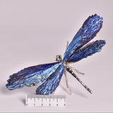 TITANIUM AURA KYANITE DRAGONFLY P551